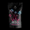 Room 920 Blue Raspberry Gummy – 1000mg