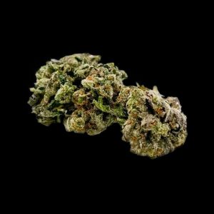Mike Tyson Indica AAAA