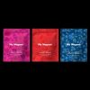 Cialis Gummies – 100MG - My Magnet