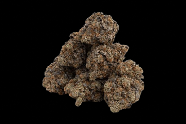 EL Jefe Indica AAAA