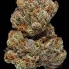Lemon Pie Sativa
