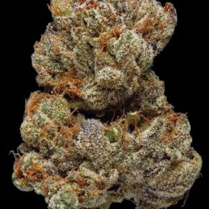 Lemon Pie Sativa