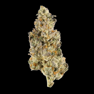 Frost Bite Sativa