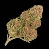 Northern Lights - Cheap Bud 28G - Indica