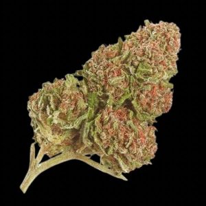 Northern Lights - Cheap Bud 28G - Indica