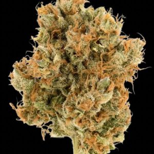 Passion Fruit Sativa