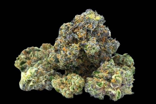 Blue Dream Hybrid