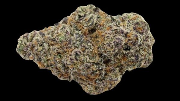 Glitter Hybrid
