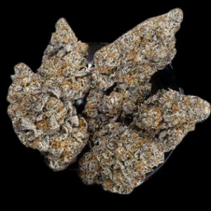 Jet Fuel Gelato Hybrid