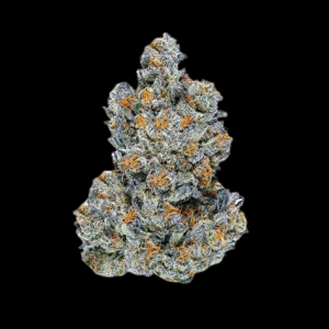 Lemon Cherry Gelato Hybrid